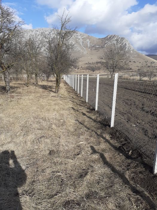 Spalieri, stalpi de gard, vie, zmeură! Jud.Alba, Hunedoara și Mureș.