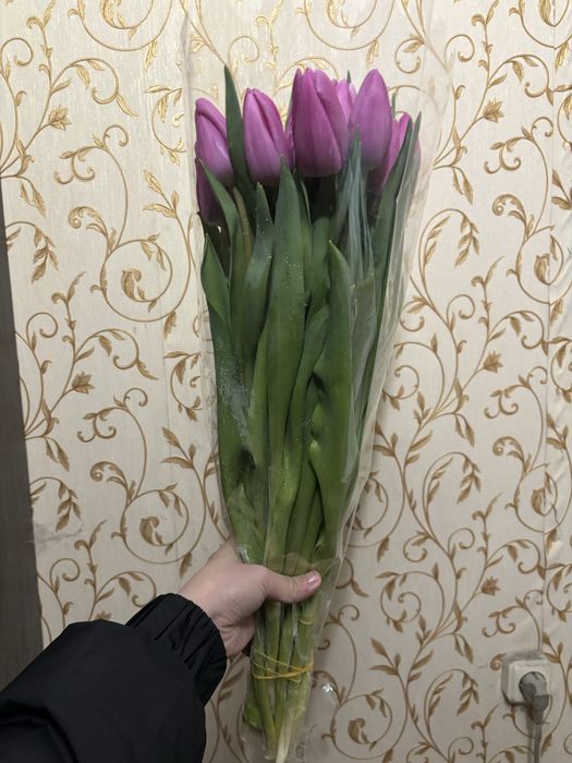 Тюльпаны 1 шт 690тг