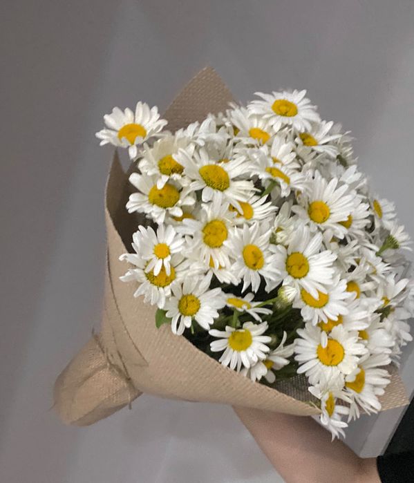 Ромашки дачные , букеты ромашек