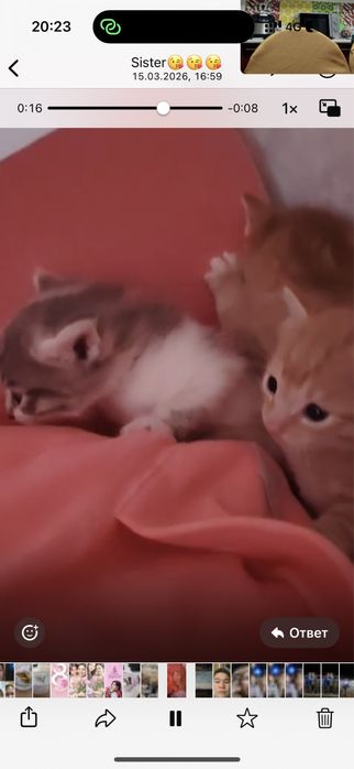 Отдам хорошие,добрые руки