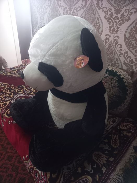 Panda kotta sotiladi yengi