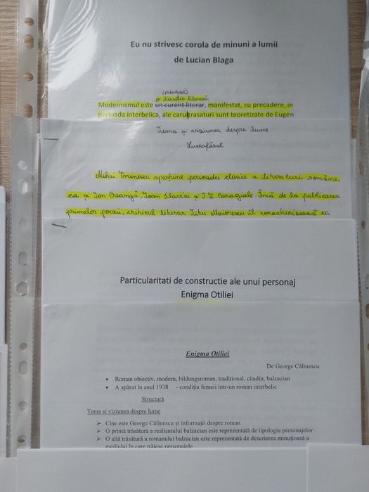 40 Eseuri BAC Română Subiectul III de nota 10