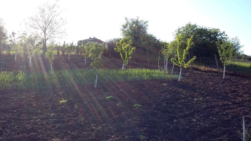 Продава се Къща в с. Черни връх, Област Бургас - 9 кв.м за 4111 €/кв.м - Снимка #9