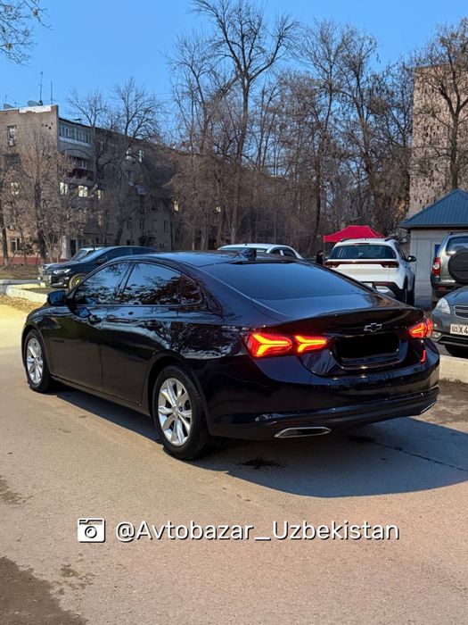 •Malibu XL 2023 (Blue)•