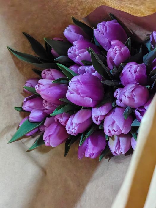 Тюльпаны на 8 марта