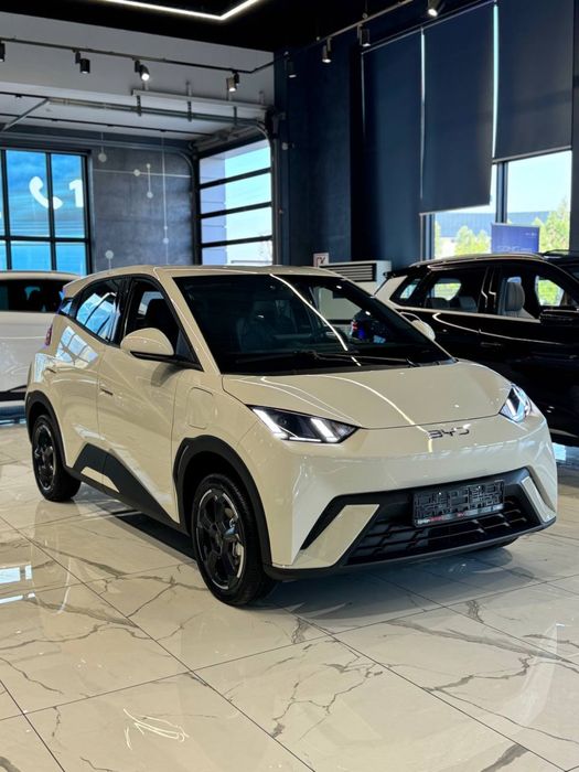 BYD SEAGULL 405 Km Flagship в наличии