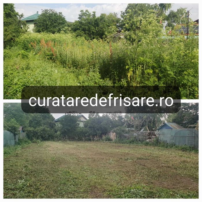 Curatare teren eliminare ambrozie, igienizare teren, tocare vegetatie
