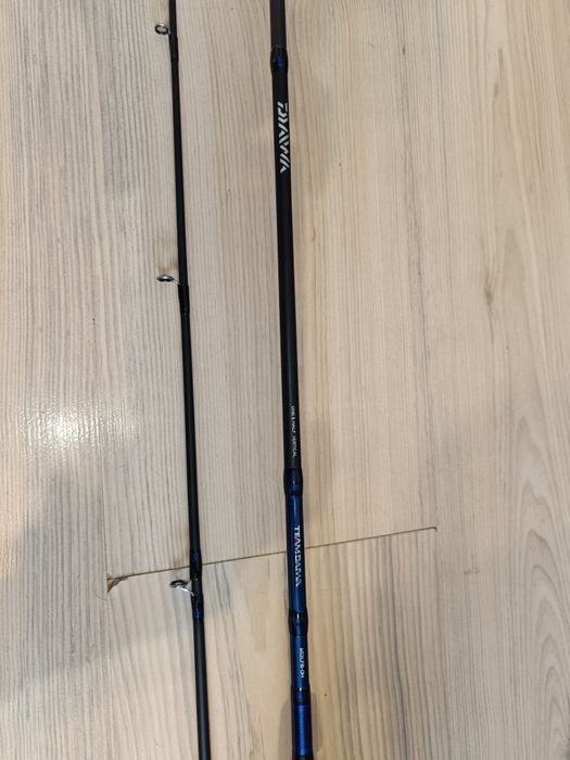 Lanseta baitcasting Team Daiwa