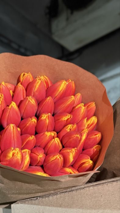 Тюльпаны 600 тг Павлодар