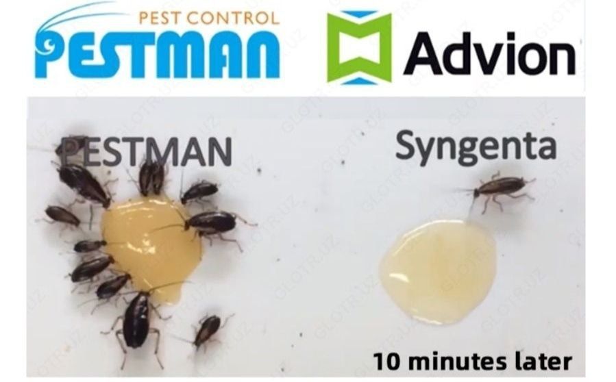 Tarakan dori Advion Cockroach usa maxsuloti 100% kafolatli ishonchli