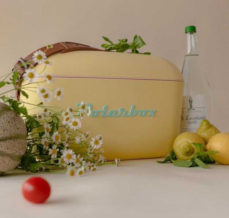 Cutie frigorifica portabila Polarbox Retro Cooler