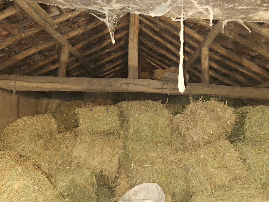 Бали люцерна 7.50 €