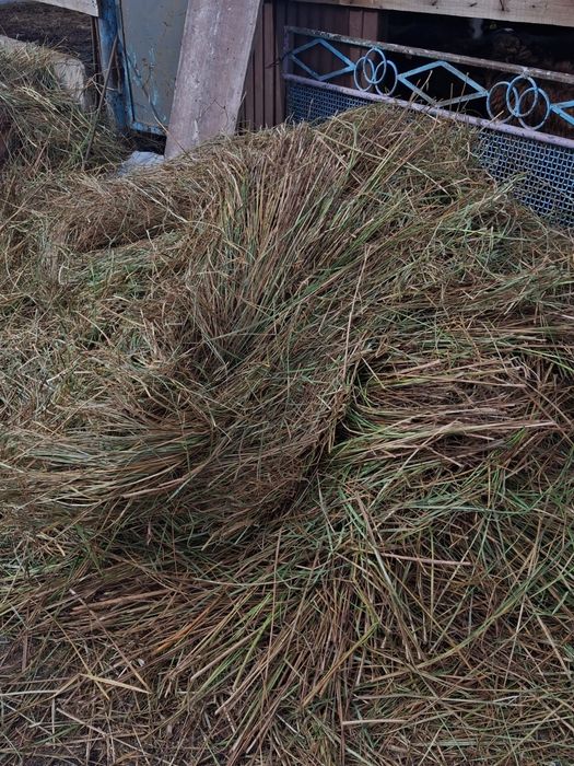 Продаётся сено..