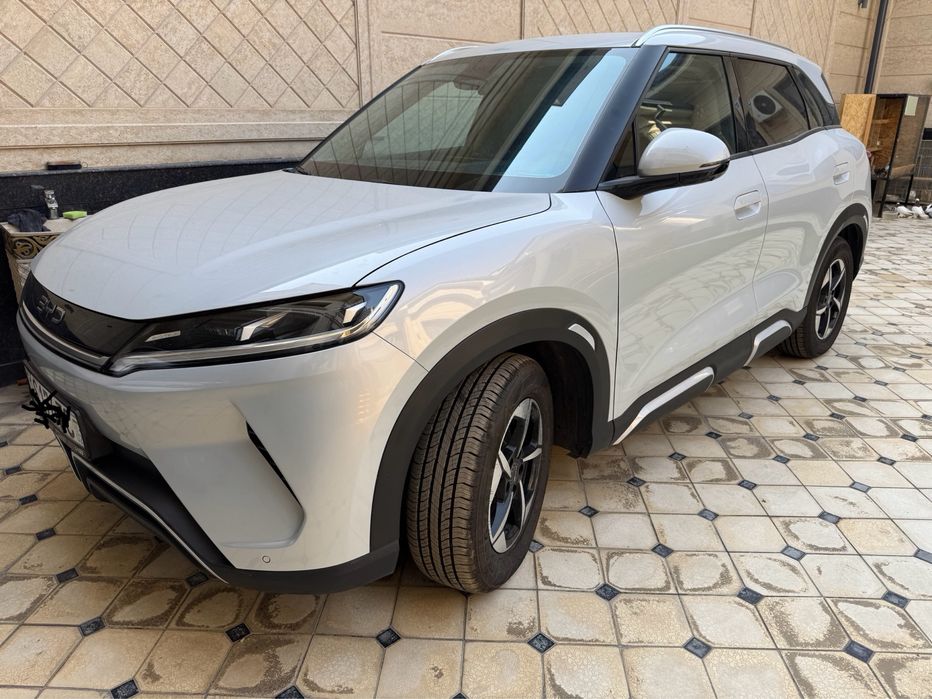 BYD UA АП. 2025 ел топ тозза янги холати