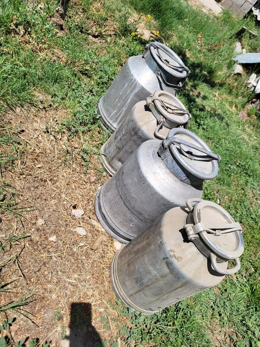 Флага үлкені, кішкентай
