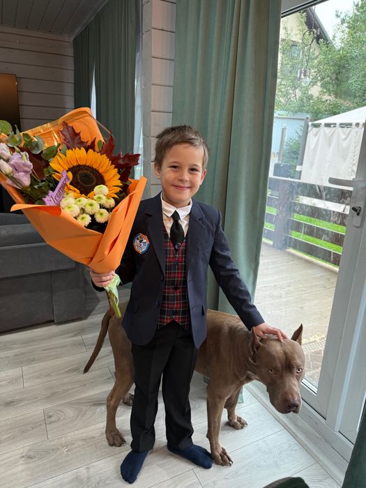 Временная передержка