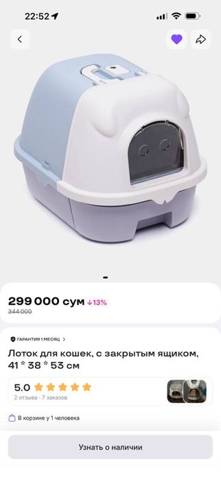 Срочно продаются две чистокровные кошки Скоттиш Фолд и Скоттиш Страйт