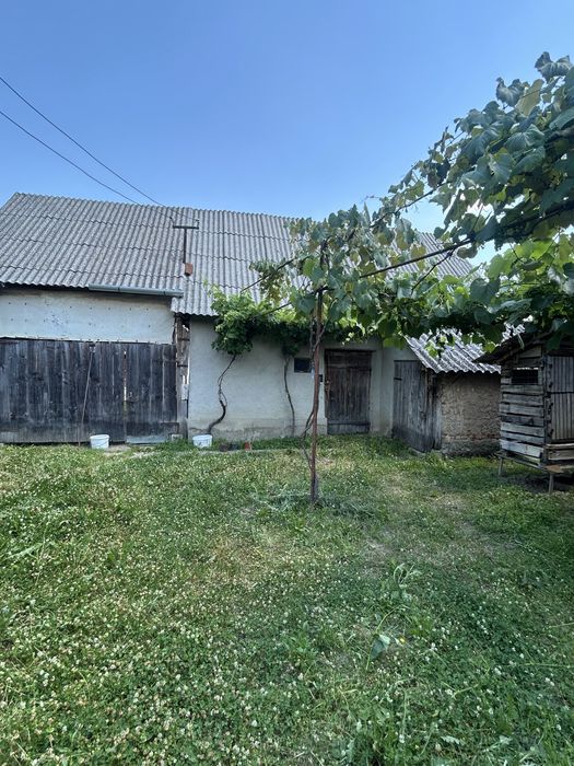 Vand Casa cu curte si gradina