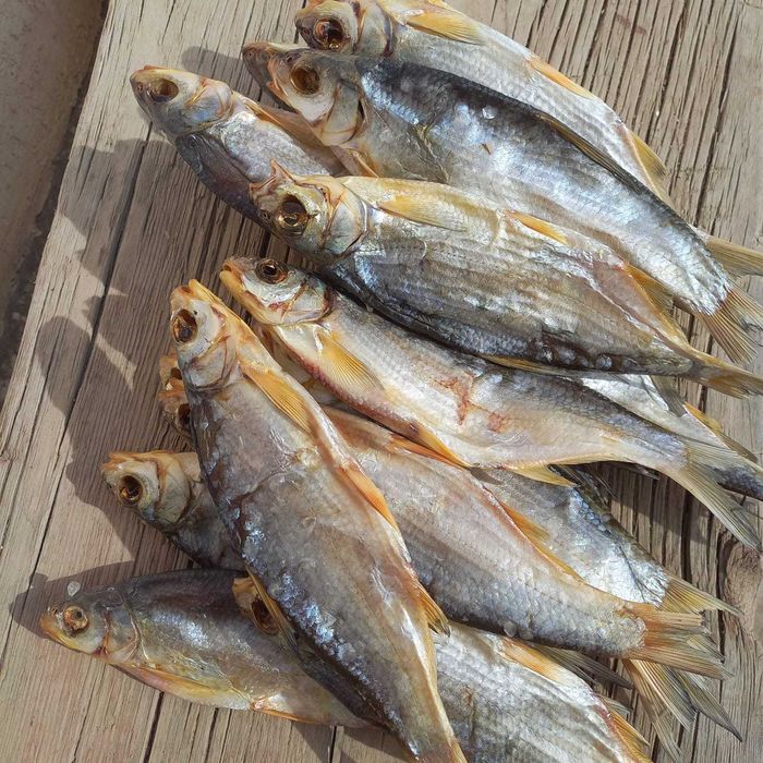 Рыбец сушёный (маленький размер)