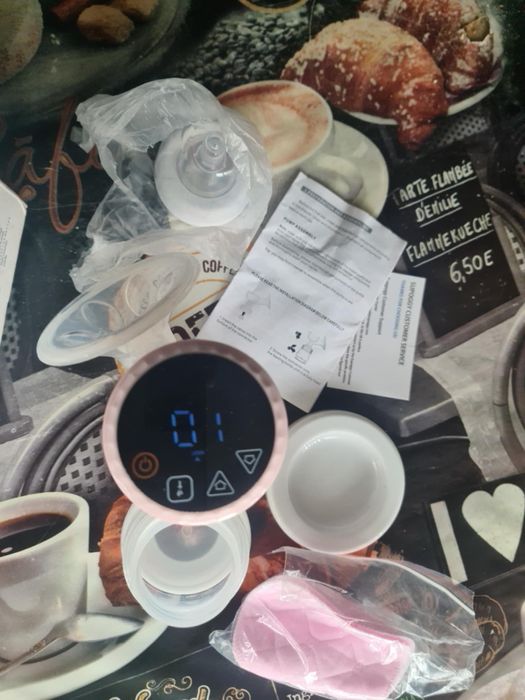 Електрическа помпа за кърма