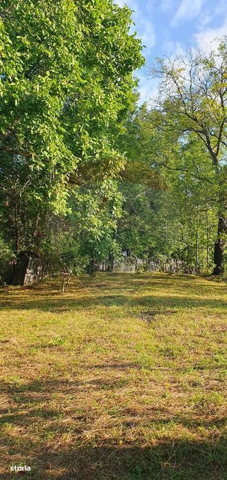 Teren 4,972mp Bertea / Strada Matraguni