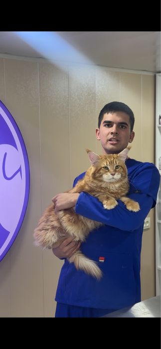 Ветеринарная служба по городу Ташкент.