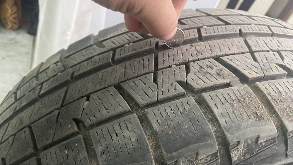Продам якохаму 4 шт