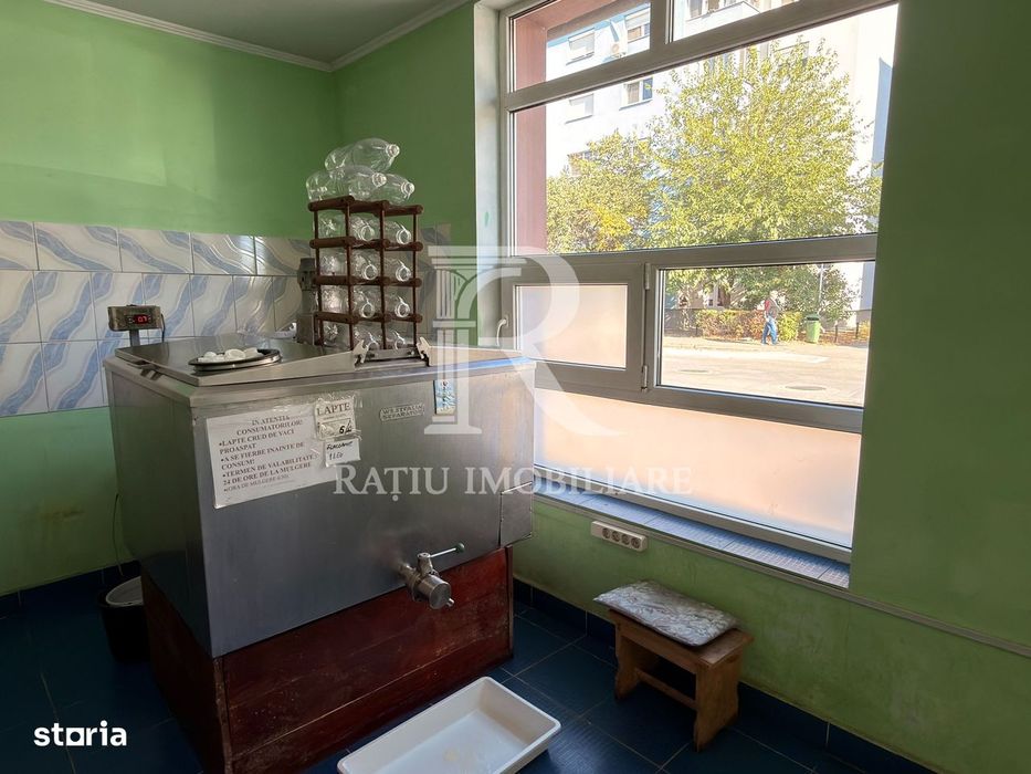 Casă cu spațiu comercial la stradă, curte și grădină | Oradea