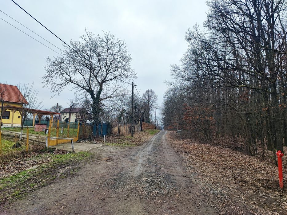 37 arii intravilan Viile Satu Mare