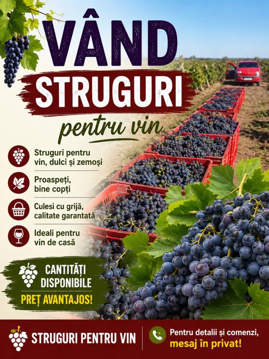 Vand struguri de   vin