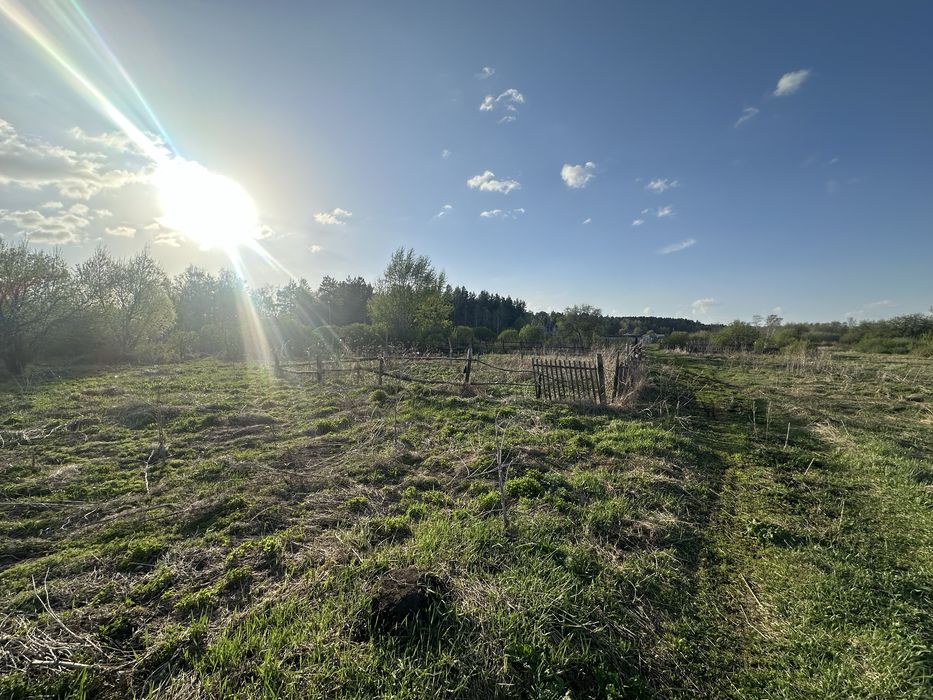 Продам участок в лесной зоне