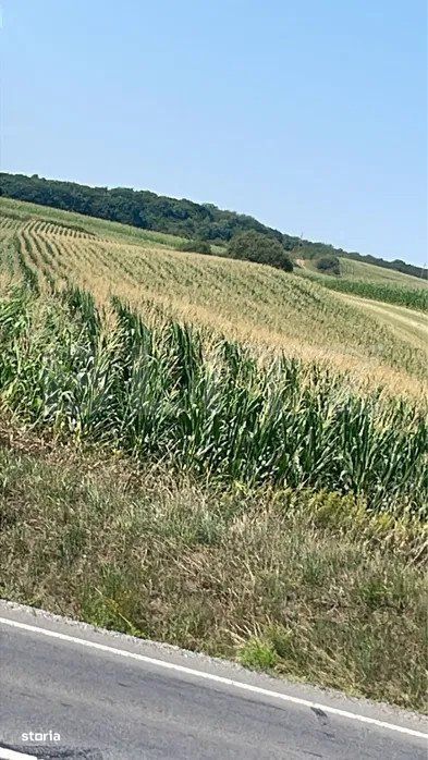 Teren in Acatari la E60 - 1,73 hectare