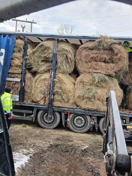 Baloti Fan rotunzi f.b. La TIR min 40.Oferta Luni.
Baloti rotunzi Fan