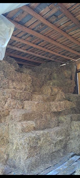 Baloți de Fân 2025