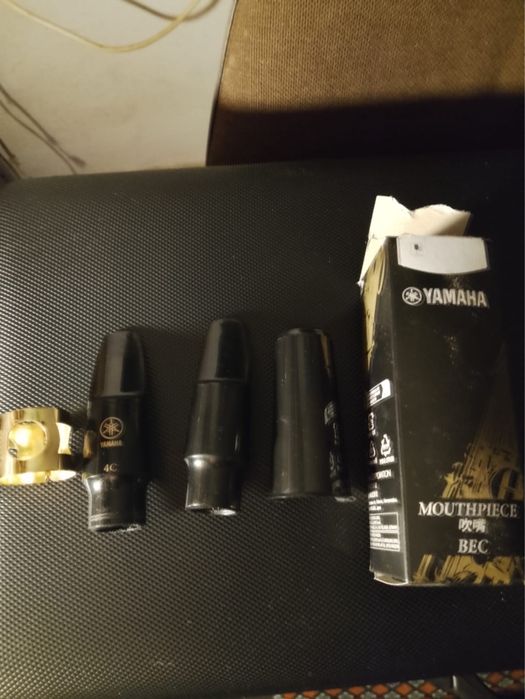 Saxofon Parrot schimb cu Acordeon