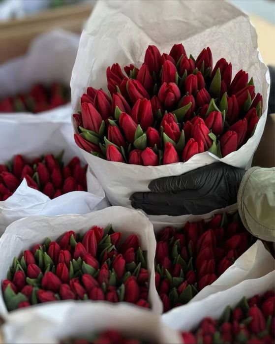 Продам тюльпаны к 8 марта