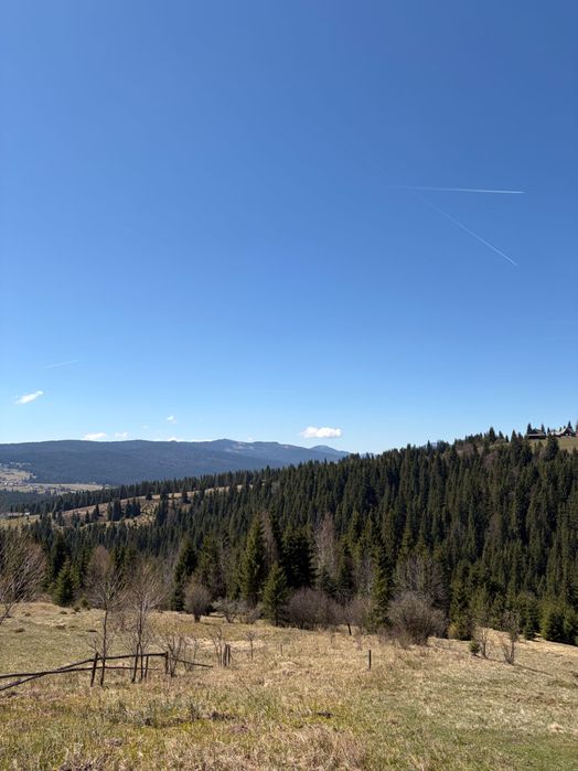 Teren de vânzare – Beliș, zona Dealu Botii, județul Cluj  Vând teren cu suprafață totală de 17.000 mp.