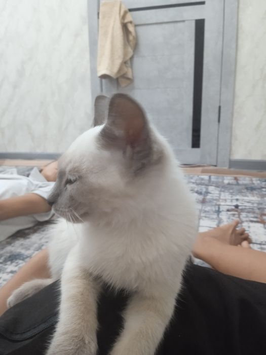 Розыск помогите найти