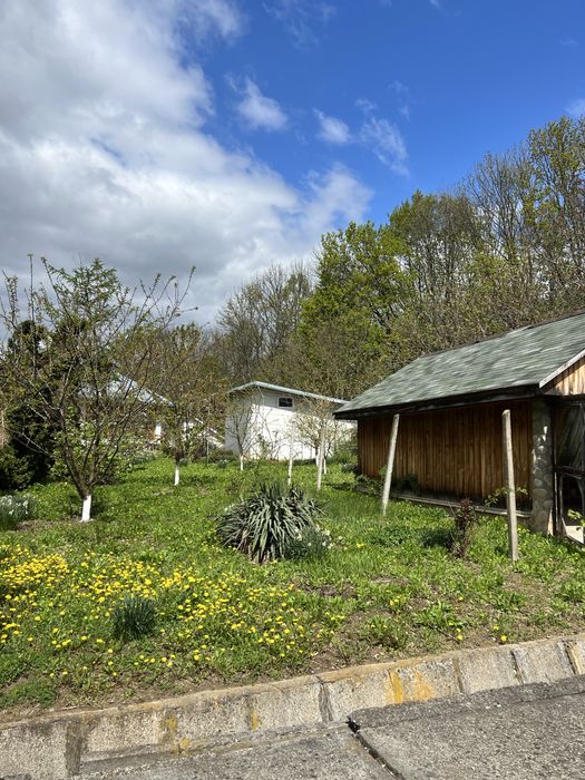 Scanduri lemn magazie