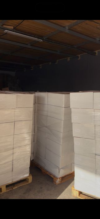 Финиковый сад, финики, курма