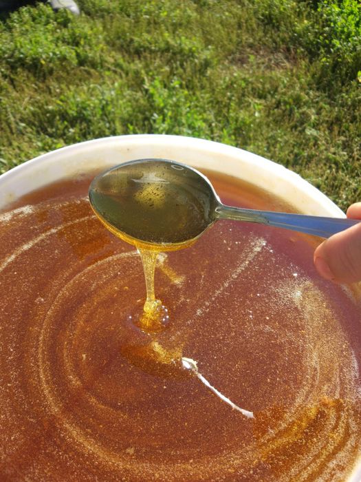 Мёд 2025года !!! С доставкой.