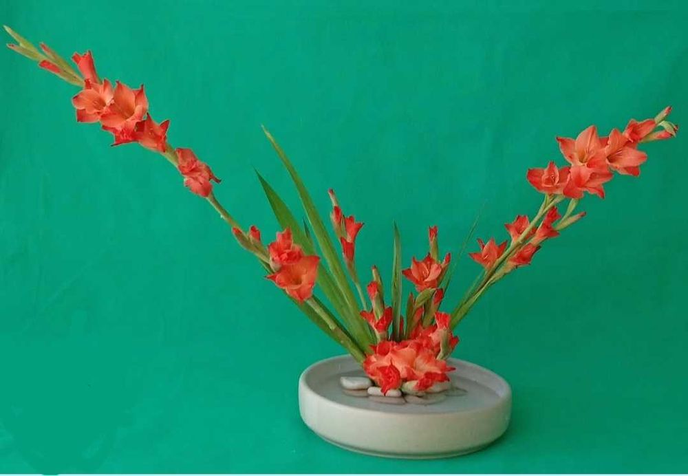 Стъклени купички