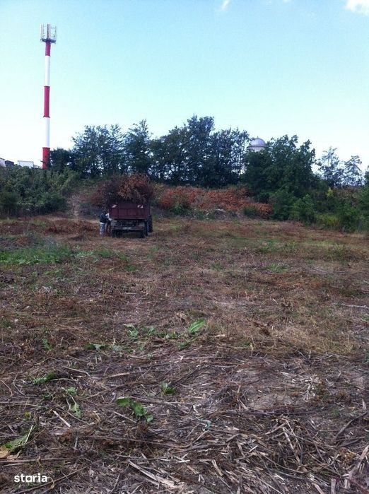 Teren intravilan 3333 mp Prelungirea Bradului Bacau