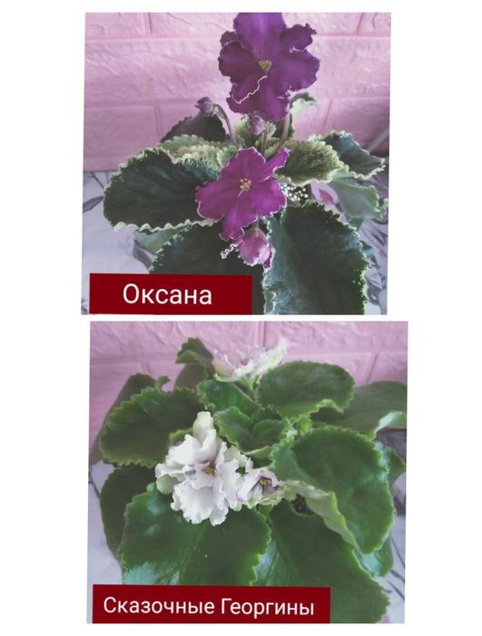 Красивые,разноцветные подоконники!!!