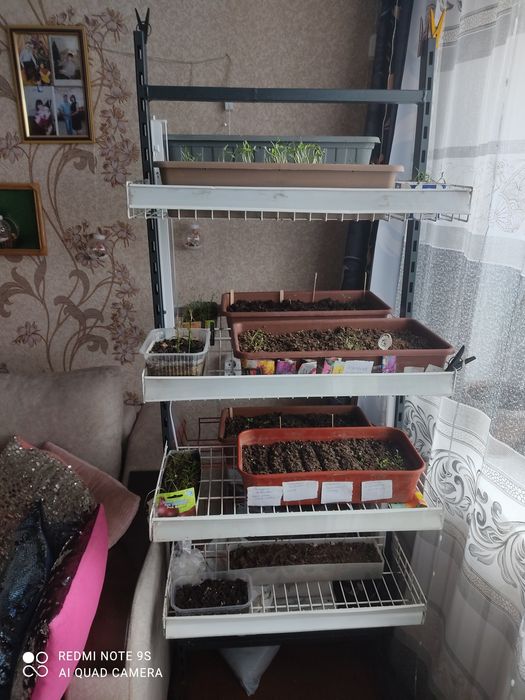 Стилаж для рассады