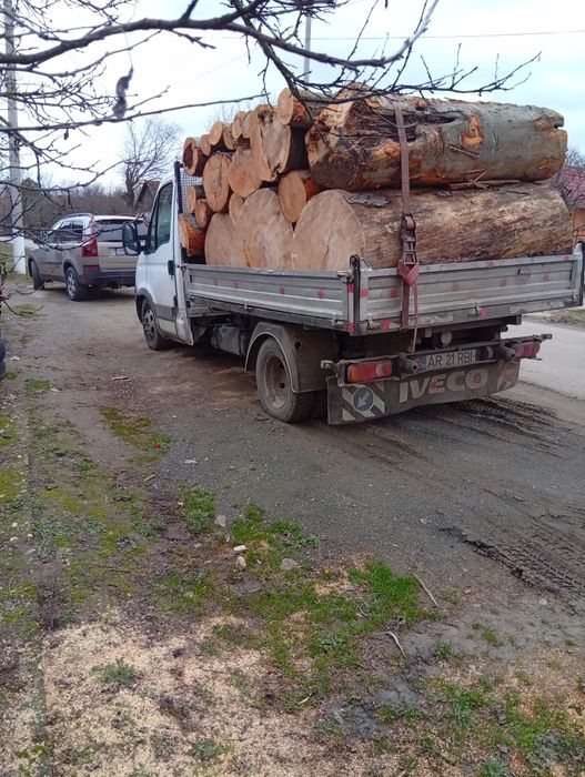 Lemne de foc fag esență tare