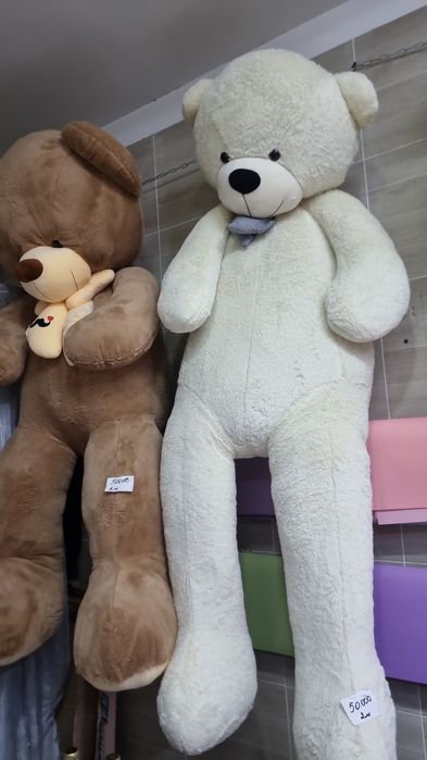 Пионы шикарные голандские