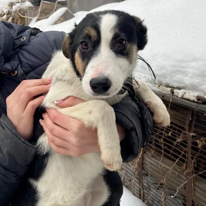 Возьми меня к себе