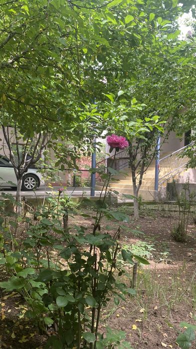 Беташар кудалык туылган кун …
