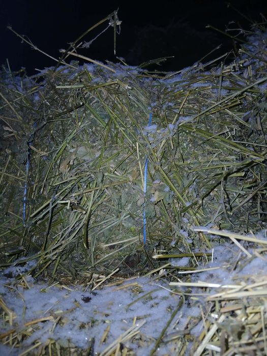 Baloți de fân și lucernă de bună calitate, de vânzare